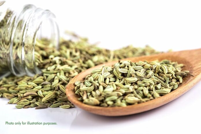 A spoonful of fennel has a solution for frequent heartburn!! Try it immediately!!