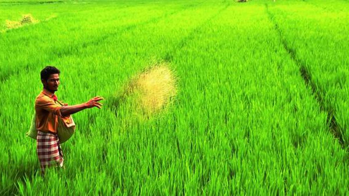 5000 rupees subsidy announced for farmers