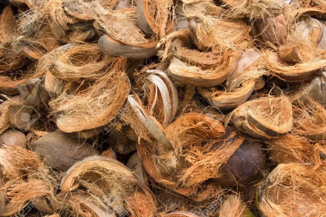 From piles to tooth problems.. Coconut is the cure!! Oh, I didn't know this for so long!!