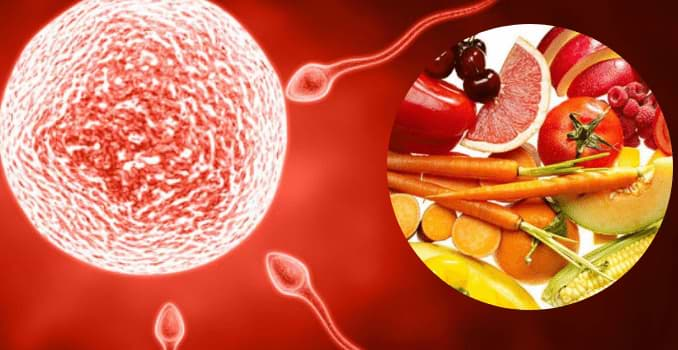 Men must eat these foods to increase sperm quality!!