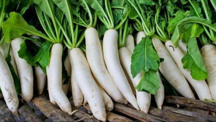 They better stay away from the radish!! Does it cause so much damage to the body?