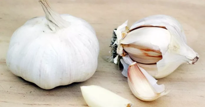 Damn! If you eat a clove of garlic every day, so many diseases can be cured?