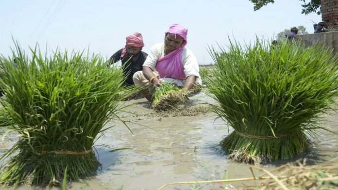 Jackpot for farmers.. Agricultural loan waiver; Chief Minister Action Announcement!!