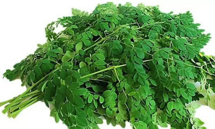 If you take moringa keera.. save medical expenses!!