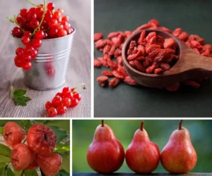 Eat this red colored fruit to get high in sex.. Easy to conceive!!