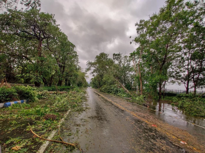 Fenchal Storm: Torn winds... trees falling on roads; Stuttering ECR