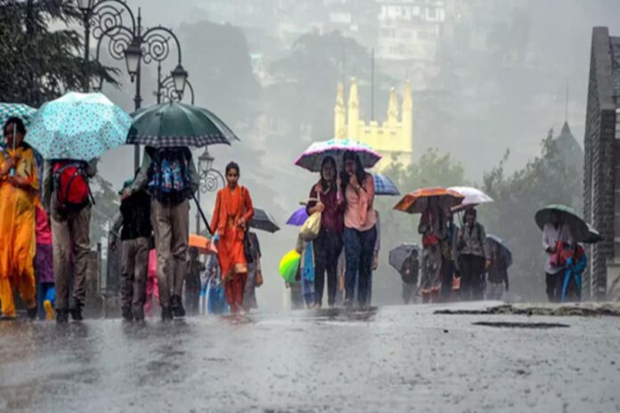 Heavy rain that is going to whiten!! Meteorological department alert for 21 districts!!