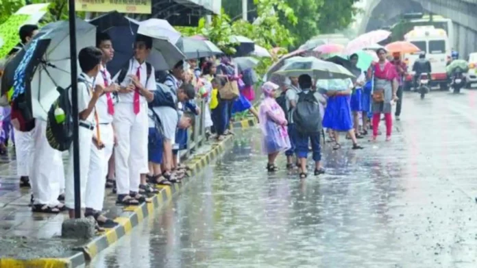 Storm warning. Holidays for schools and colleges - cancellation of university exams