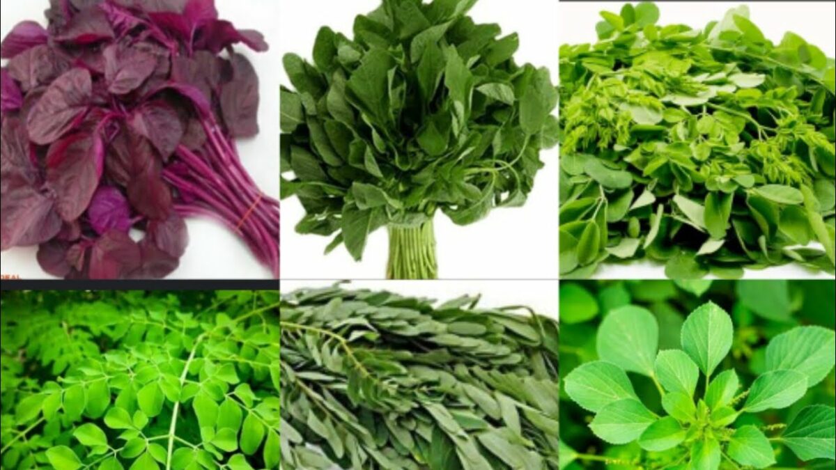 Eat this spinach twice a week to increase HEMOGLOBIN LEVEL in the body!!