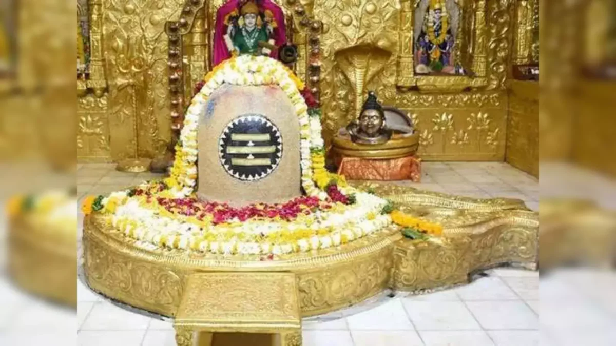 Priest sitting in temple sanctum and drinking wine!! Shiva devotees shocked!!