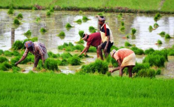 Farmers don't miss it!! Tamil Nadu government announced the last date!!