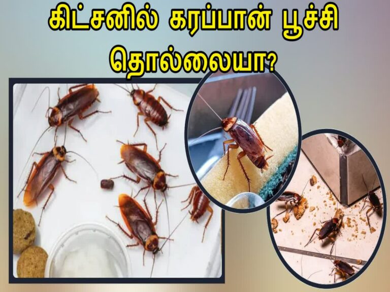 கிட்சன் சிங்க்கில் மறைந்துள்ள கரப்பான் பூச்சிகளை ஒழித்துக்கட்ட.. இந்த ஹோம்மேட் ஸ்ப்ரே யூஸ் பண்ணுங்க!!