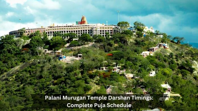 Spirituality: From today you can have darshan at Palani Murugan temple from 3 am!!