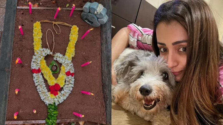 Actress Trisha's pet dog died on Christmas Day