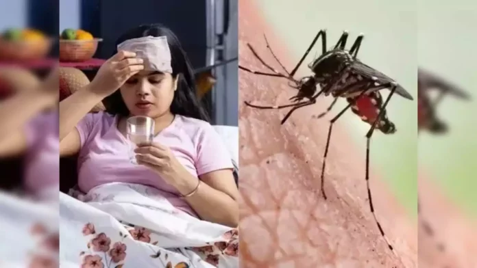 Herbal drink to cure dengue fever!! Drink thrice and get instant relief!!