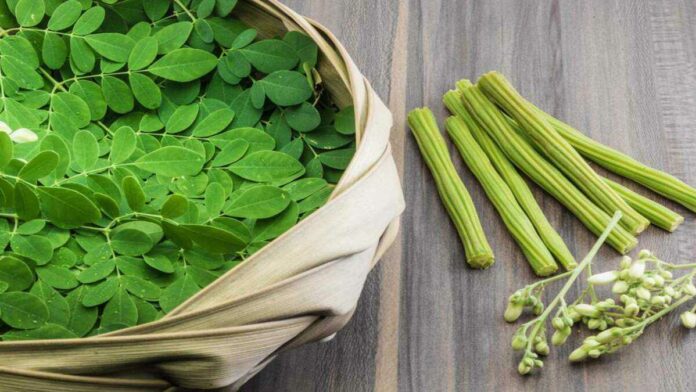 Moringa increases iron!! If you do this, children will love to eat!!