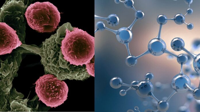 Empirical fact!! Ayurvedic medicine that destroys cancer cells without chemotherapy!!