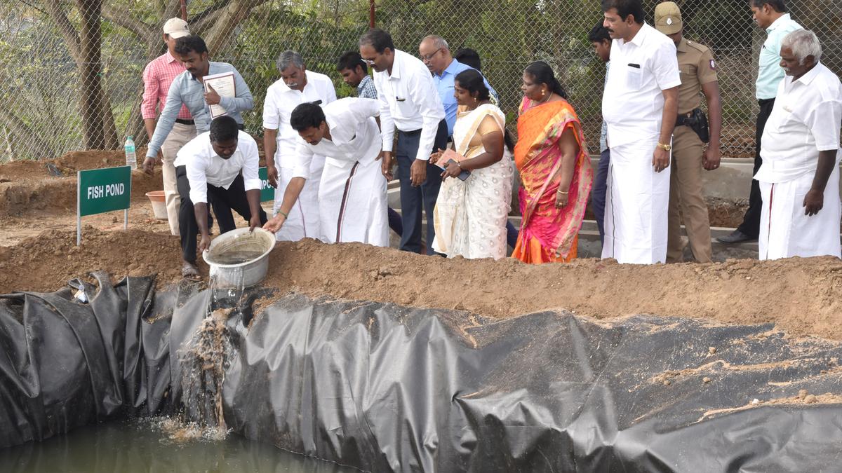 Green School Program for Students!! Tamilnadu government's new outlook!!