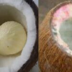 How the sacred coconut is broken gives fruit!! Does rotting cause harm?