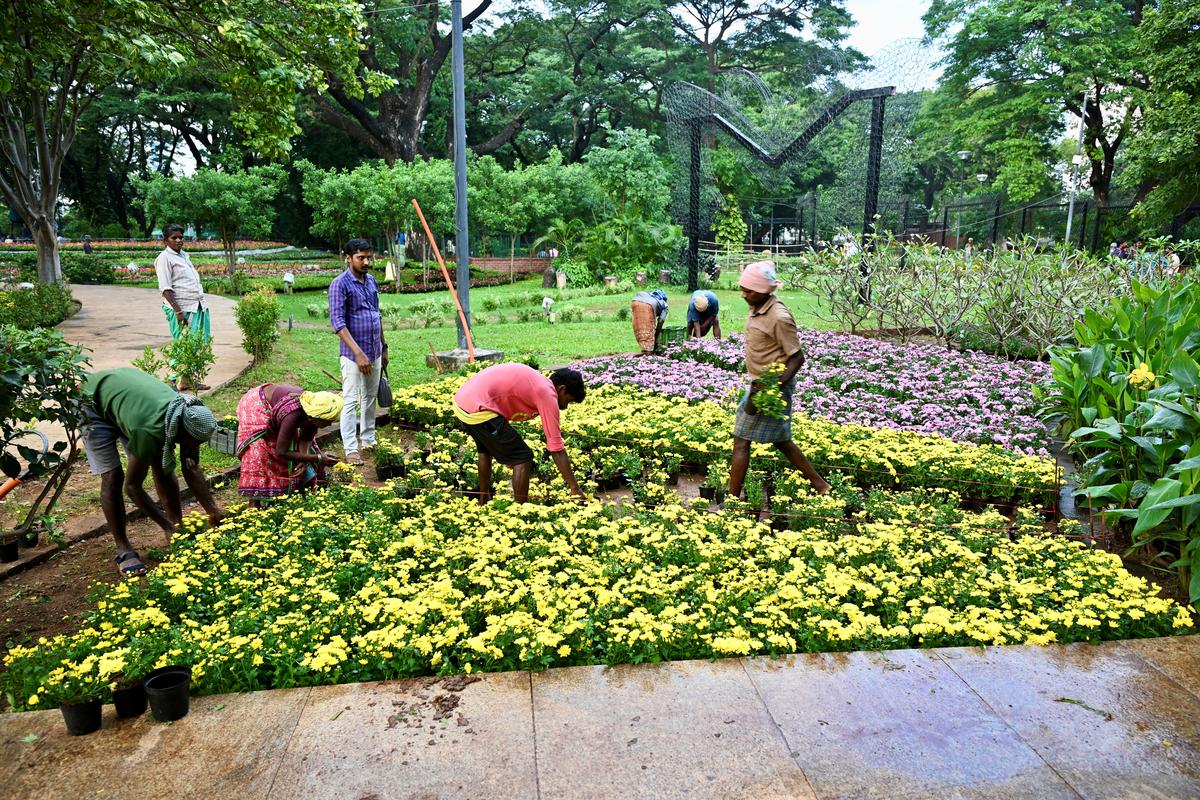 Flower exhibition starting today in Chennai!! Happy people!!