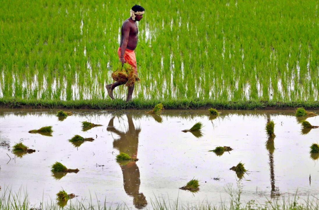 The central government has put an end to farmers' crop losses!! New plan for new year!!