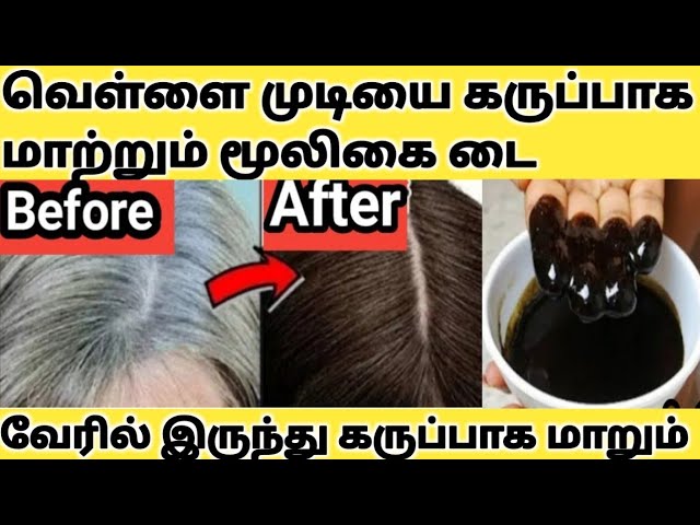 WHITE HAIR பிரச்சனை? 2 நிமிடத்தில் முடி கருகருன்னு மாற.. ஹோம் மேட் ஹேர் டை போதும்!!