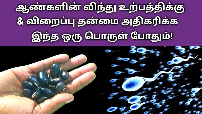 விறைப்புத் தன்மை பிரச்சனையை எதிர்கொள்ளும் ஆண்கள்.. இந்த வேரை பாலில் சேர்த்து பருகுங்கள் போதும்!!