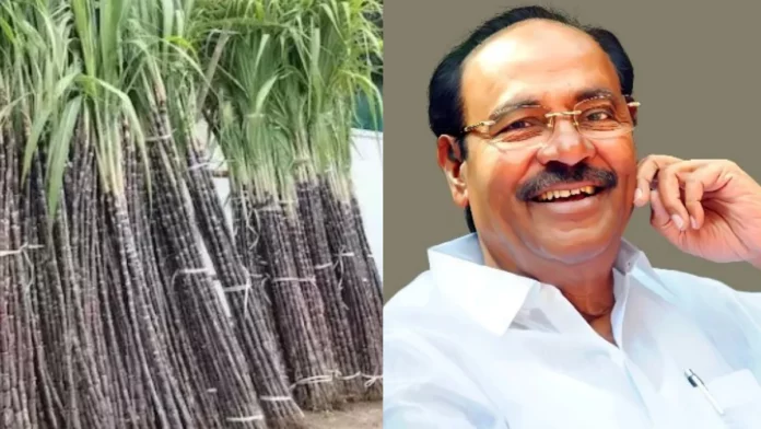 DMK's betrayal of sugarcane price!! Pamaka Ramadoss accused!!