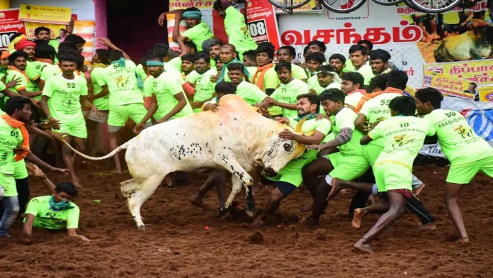 The world famous Jallikattu held in Madurai!! Online booking for this tournament started today!!