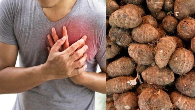 இந்த கிழங்கு ஒன்று போதும்!! சாகும் வரை BP மற்றும் HEART ATTACK பாதிப்பே அண்டாது!!