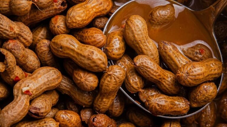 வேர்க்கடலையை தொழும்பியுடன் சாப்பிடும் பழக்கம் உள்ளவரா? இதில் இத்தனை விஷயம் அடங்கியிருக்கா!!