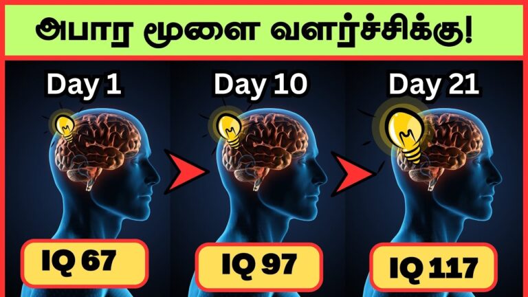 உங்கள் IQ லெவல் கம்மியா இருக்கா? இந்த Activites மூலம் நுண்ணறிவு திறனை அதிகப்படுத்துங்கள்!!