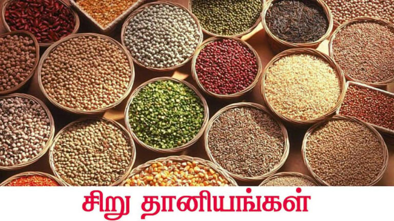 சிறுதானிய உணவு சாப்பிடுவதால் உடலுக்கு கிடைக்கும் ஆரோக்கிய நன்மைகள் பற்றி தெரியுமா?