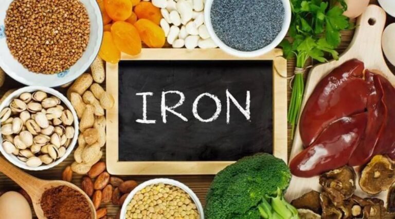 Iron Rich Food List: இரும்புச்சத்து குறைபாடு இருப்பவர்கள் சாப்பிட வேண்டிய அயர்ன் ரிச் உணவுகள்!!
