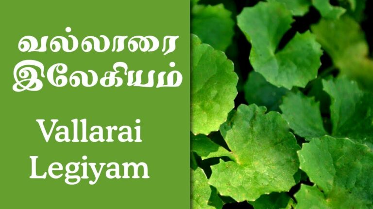 தாங்க முடியாத தலைவலியை நொடியில் விரட்ட டாக்டர் சொன்ன அற்புத லேகியம் சாப்பிடுங்க!!