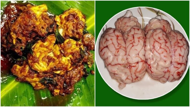 ஆட்டு மூளை சாப்பிடுவதால் உடலுக்கு இத்தனை நன்மைகள் கிடைக்கும்!! இவர்கள் கட்டாயம் சாப்பிடணும்!!