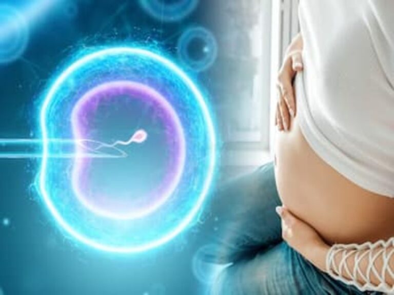 செயற்கை முறையில் கருத்தரிப்பு(IVF) சிகிச்சை பெறுபவர்கள் பின்பற்ற வேண்டிய விஷயங்கள்!!