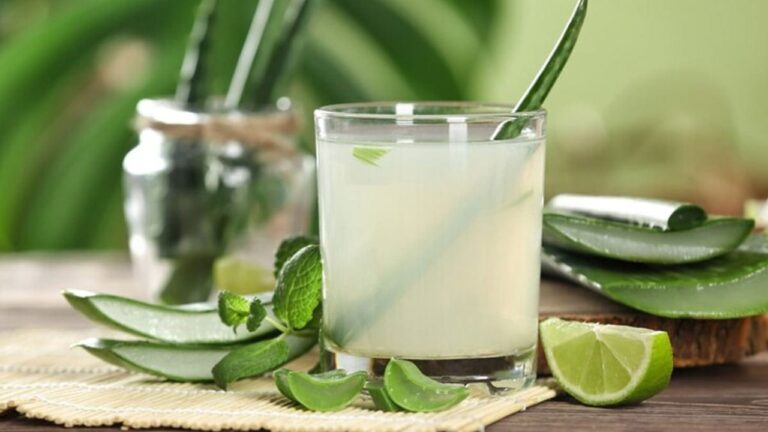 ஏகப்பட்ட நன்மைகள் கொண்ட கற்றாழை சாறு!! இவர்கள் மட்டும் தப்பி தவறியும் குடிக்க கூடாதாம்!!