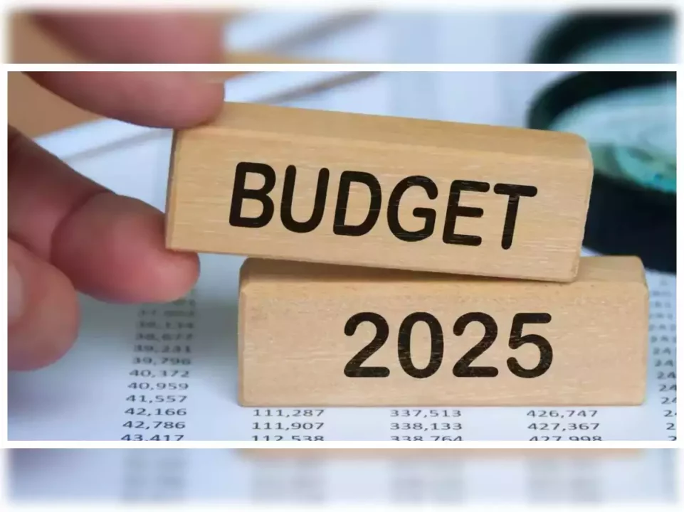 IMPORTANT NOTICE FOR SENIOR CITIZENS AND HOME TENANTS!! Budget Presentation 2025-26!!