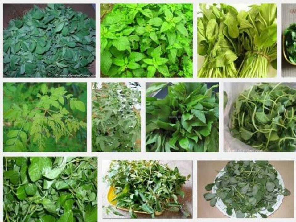 If you eat spinach like this you will not get iron!!