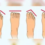 If your toes are like this!!then your qualities will be like this!!