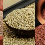 wheat-vs-ragi-what-can-diabetics-eat-how-to-eat