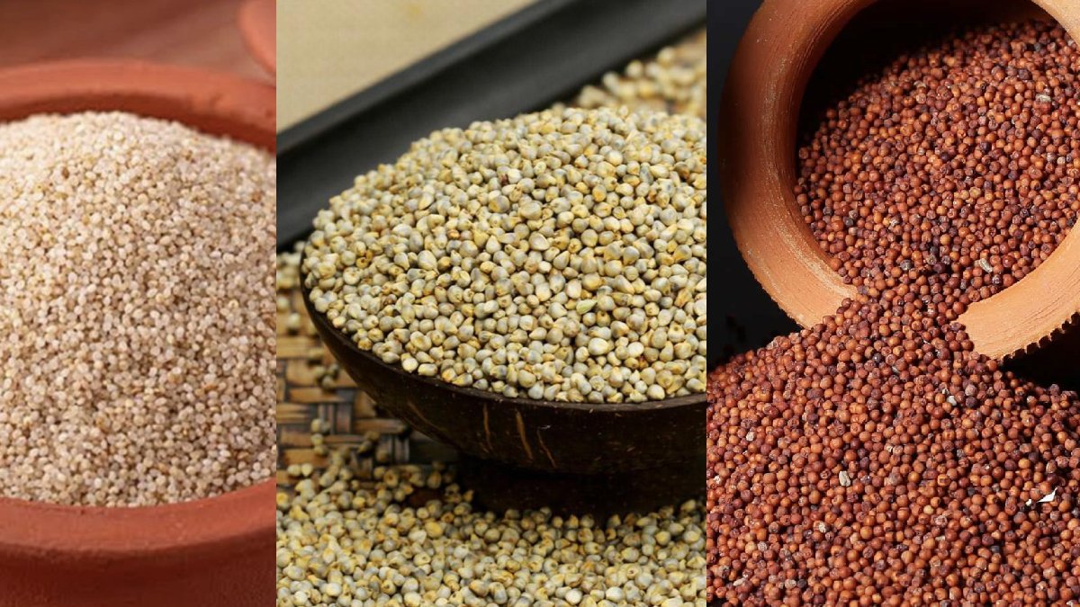 wheat-vs-ragi-what-can-diabetics-eat-how-to-eat