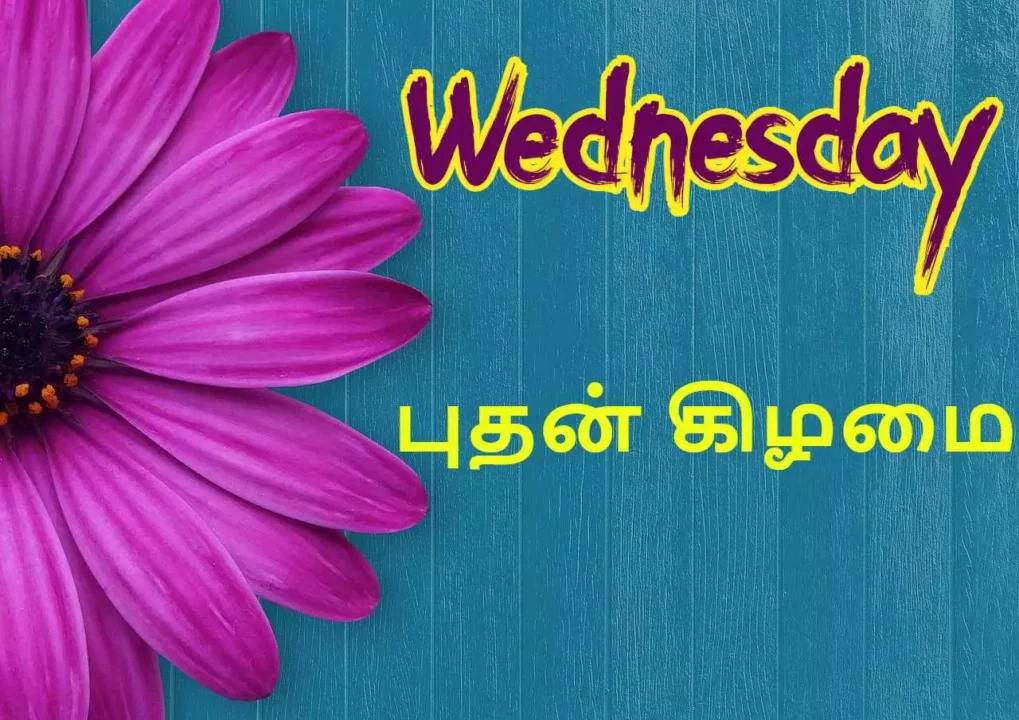 Are you born on a wednesday!!This is your life secret!!