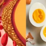 Does eating eggs increase cholesterol!! Doctor's explanation!!