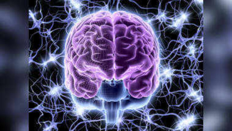 முட்டாளையும் புத்திசாலியாக்கும் டிரிக்ஸ்!! மூளையின் செயல்திறனை அதிகரிக்க டிப்ஸ்!!