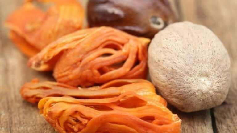 பிரியாணியின் ருசியை கூட்டும் இந்த ஒரு பொருளின் அற்புத மருத்துவ குணங்களை தெரிந்து கொள்ளுங்கள்!!