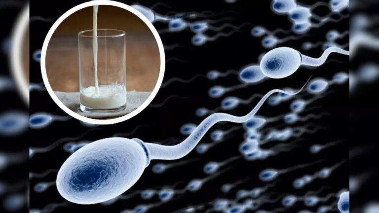 விந்தணுக்களின் எண்ணிக்கையை இருமடங்கு உயர்த்த.. குடிக்கும் பாலில் இந்த பொடி ஒரு ஸ்பூன் சேர்த்துக்கோங்க!!