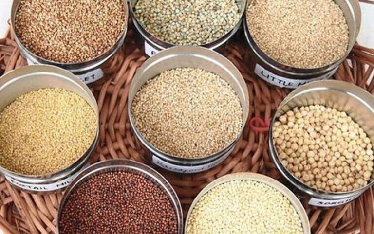 உடல் பிணிக்கு ஏற்ற சிறுதானியம் எது? இனி தெரிஞ்சிக்கிட்டு சாப்பிடுங்கள்!!