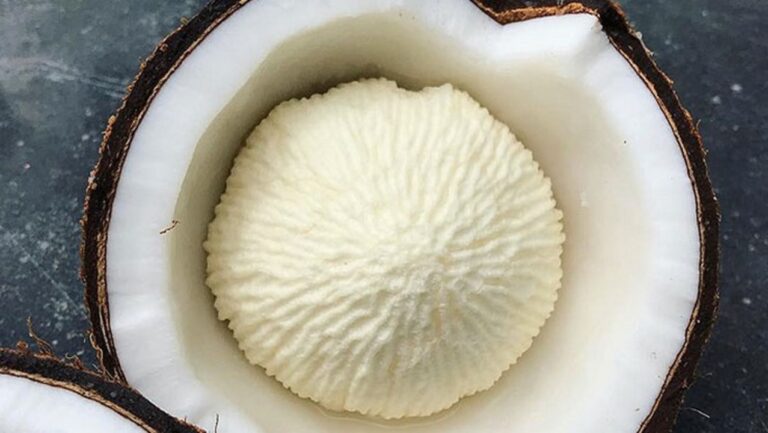 சர்க்கரை முதல் தைராய்டு வரை.. இந்த பூவை மென்று சாப்பிட்டு வந்தால் பலன் கிடைக்கும்!!
